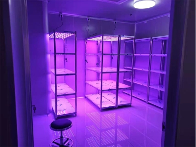 可调光谱组培架视频