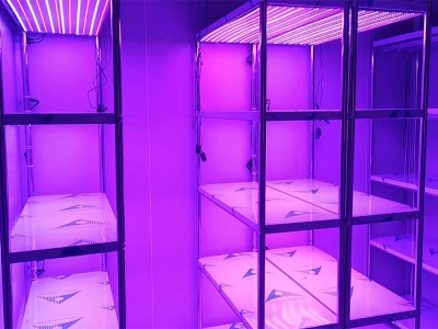 光照强度可调组培架