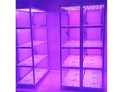 光照强度可调组培架视频